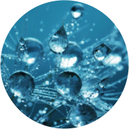 法國水晶高光肽 法國水晶高光肽